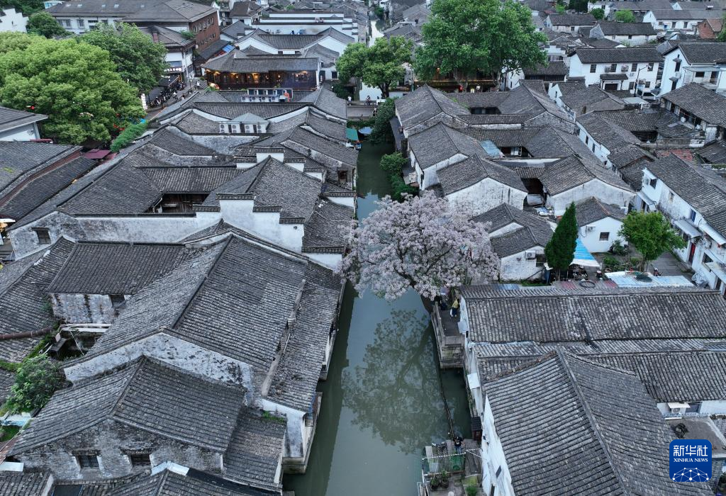文化中国行丨仓桥直街：中国遗产活生生的展示地